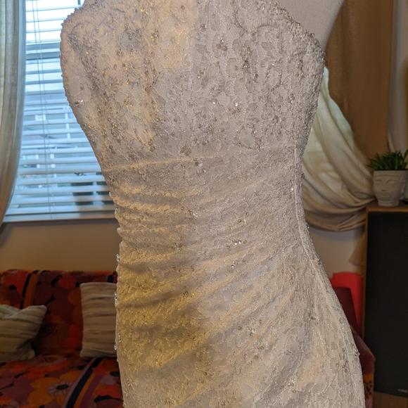 Pronovias Albeniz Tirso Wedding dress - Picture 9 of 15